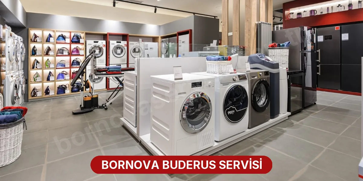 Bornova Buderus Servisi