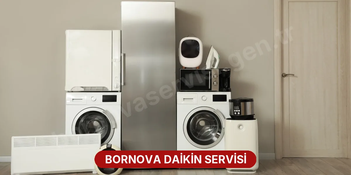 Bornova Daikin Servisi