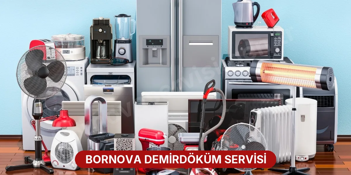 Bornova Demirdöküm Servisi