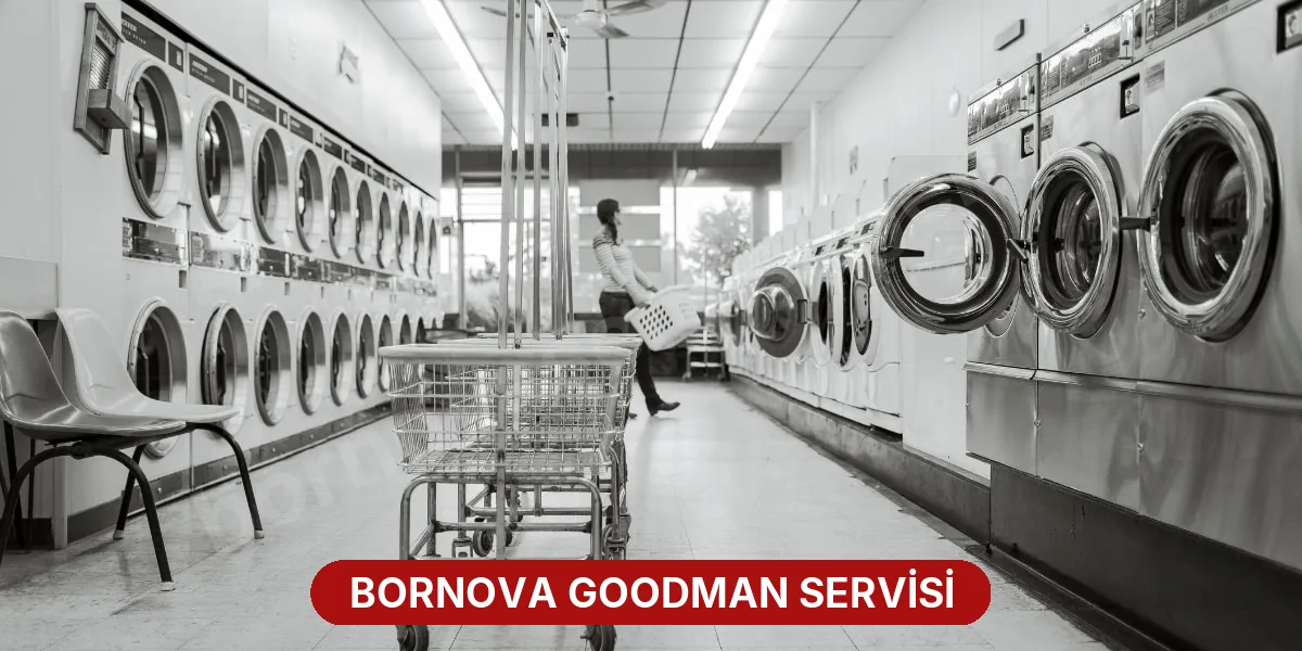 Bornova Goodman Servisi