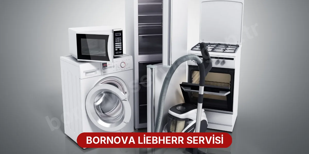 Bornova Liebherr Servisi