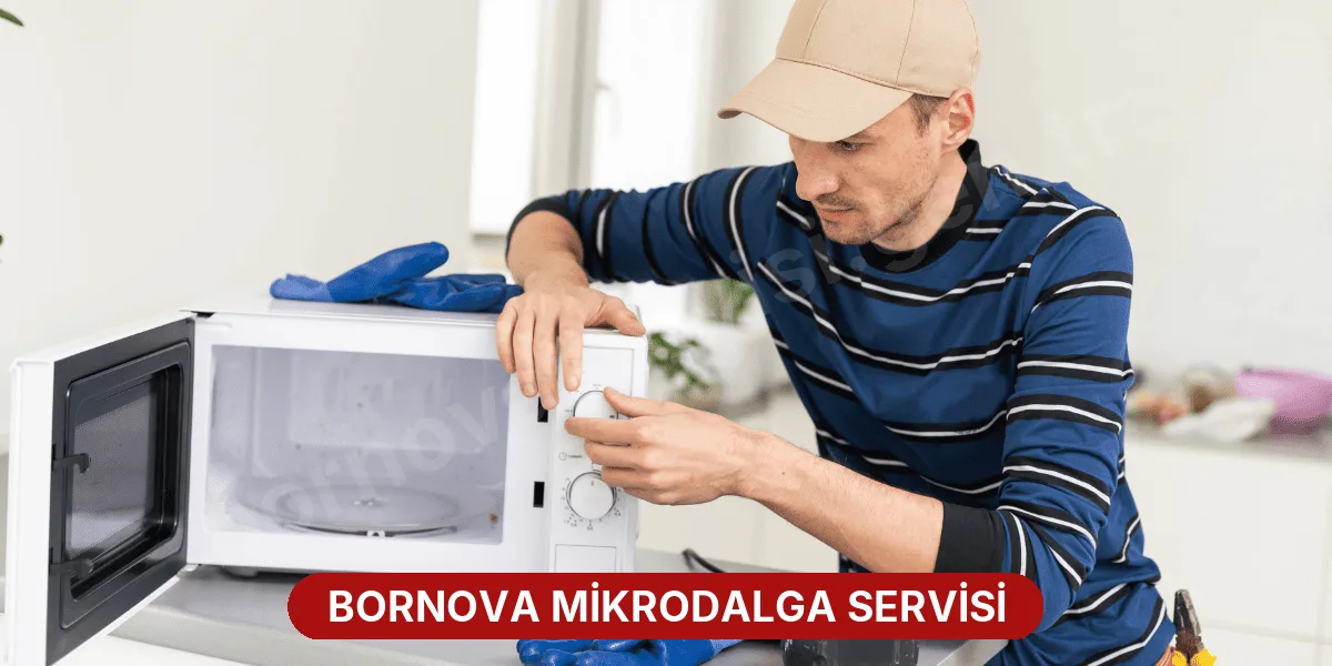 Bornova Mikrodalga Servisi