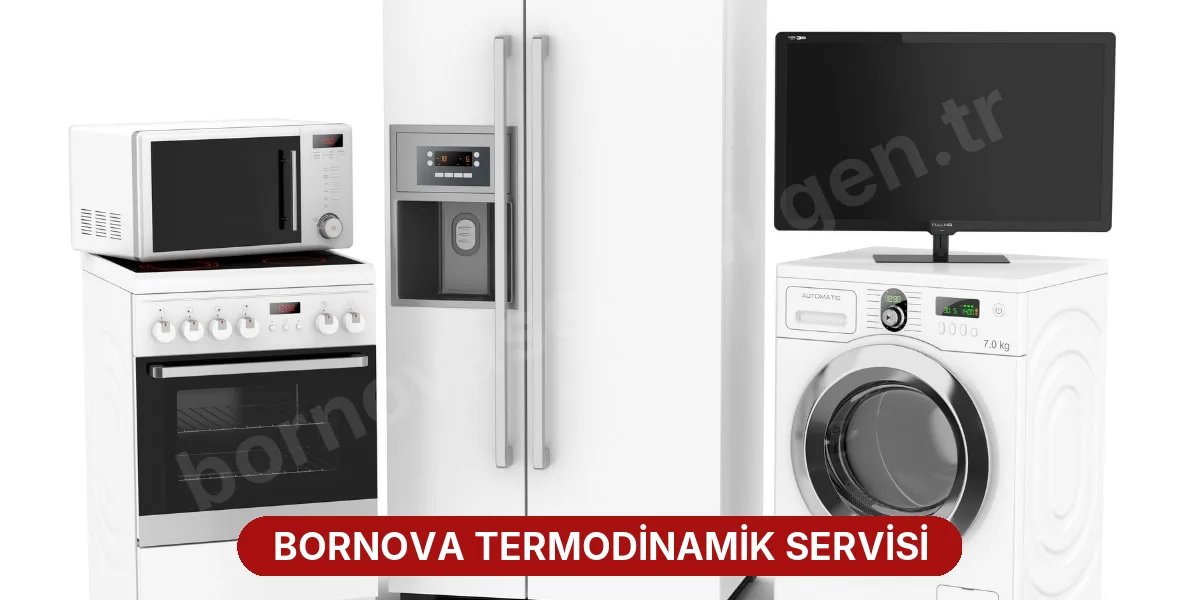 Bornova Termodinamik Servisi