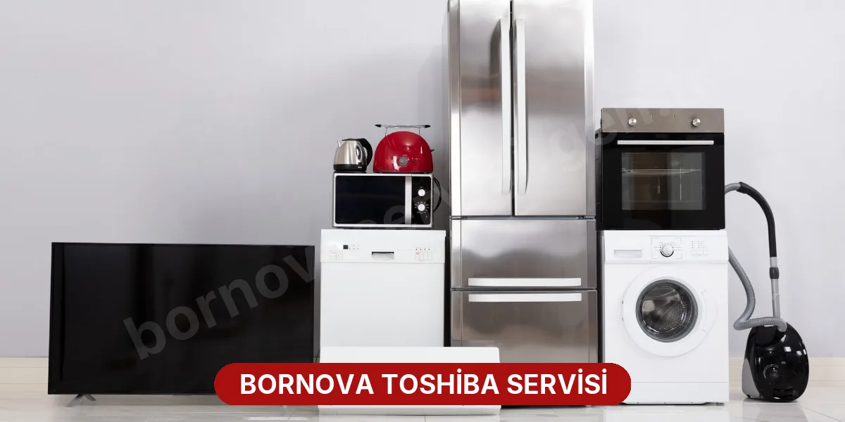 Bornova Toshiba Servisi
