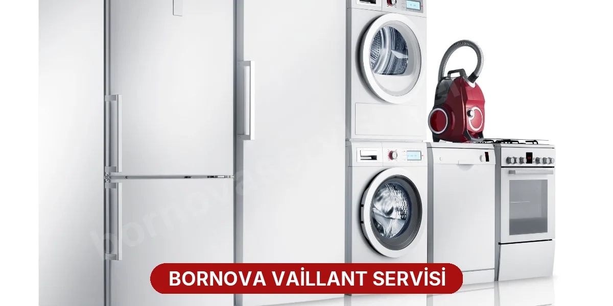 Bornova Vaillant Servisi